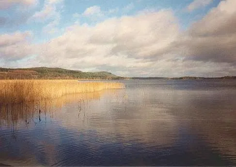 Blick über den See mit Schilf am Ufer