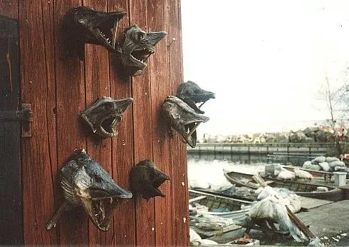 Holzfische an einer roten Bretterwand am Hafen